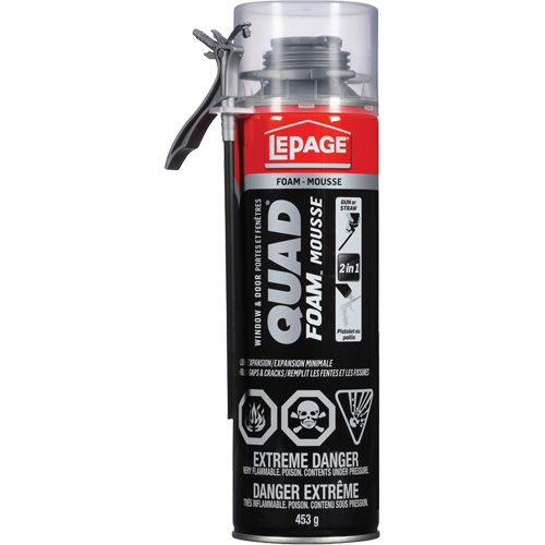 Quad&reg; Foam Window & Door Installation Foam, Aerosol Can, Tan Oxymax Inc