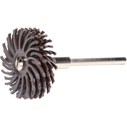 Scotch-Brite Radial Bristle Discs, Ceramic, 36X Grit, 1" Dia. Oxymax Inc