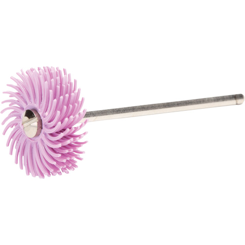 Scotch-Brite Radial Bristle Discs, Pumice Grit, 3/4" Dia. Oxymax Inc