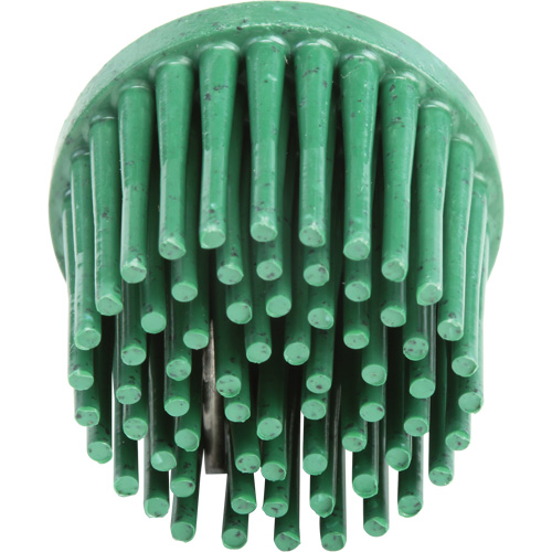 Disques bristle Roloc, Grain 120, 1" dia. Oxymax Inc