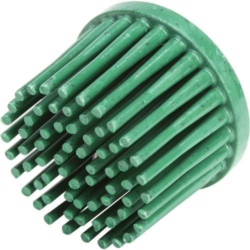 Disques bristle Roloc, C&eacute;ramique, Grain 50, 1" dia. Oxymax Inc