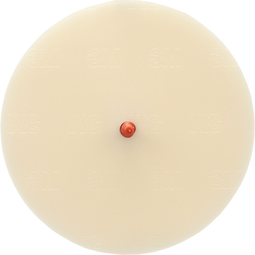 Disque Scotch-Brite 7502 pour retrait de colle et de bandes de moulage, 6" dia. Oxymax Inc