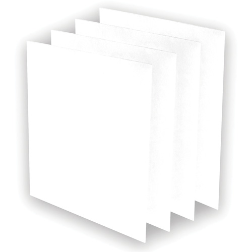 Pr&eacute;-filtres AeraMax Pro AM3 ou AM4, 13,75" la x 0,13" p x 14,38" h Oxymax Inc