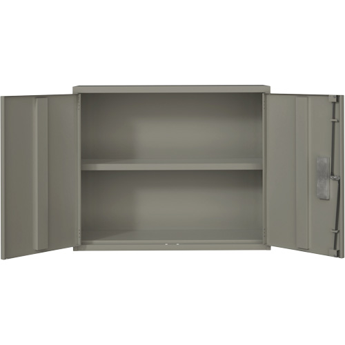 Wall Mounted Cabinet, Steel, 2 Shelves, 30" H x 36" W x 12" D, Grey Oxymax Inc