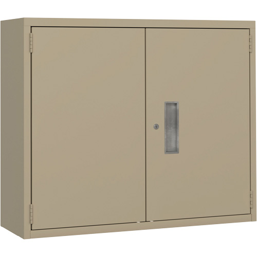Wall Mounted Cabinet, Steel, 2 Shelves, 30" H x 36" W x 12" D, Beige Oxymax Inc