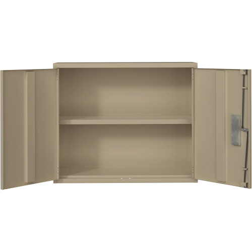 Wall Mounted Cabinet, Steel, 2 Shelves, 30" H x 36" W x 12" D, Beige Oxymax Inc