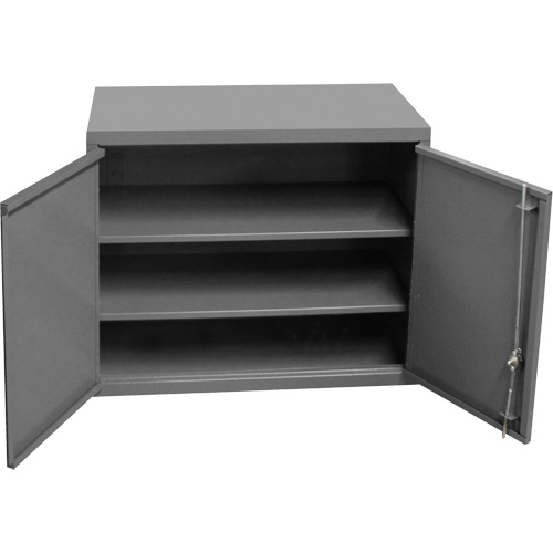 Wall-Mounted Cabinet, 27" H x 13-11/16" W x 35-7/8" D, 2 Shelves, Steel, Grey Oxymax Inc
