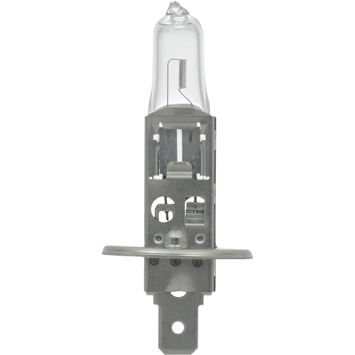 64155 Basic Automotive Bulb, Halogen, 78 W, Off White Oxymax Inc