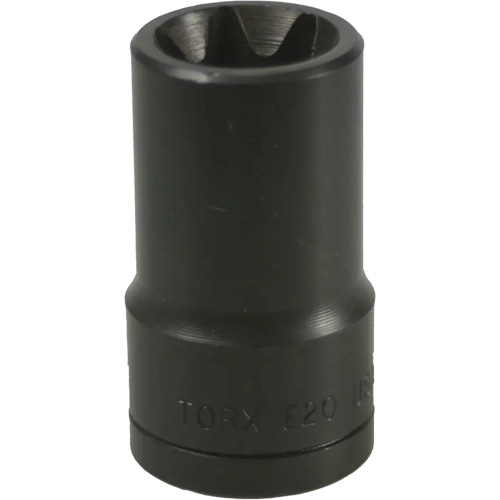 Douille Torx&reg; E-20 Oxymax Inc