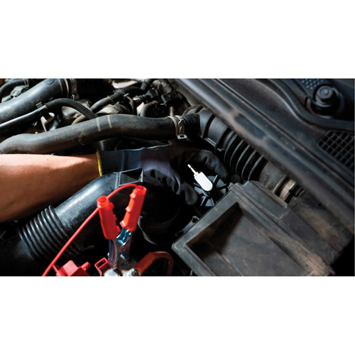 Pompette de purge de frein Brake-Pro &agrave; structure haute avec adaptateurs Oxymax Inc