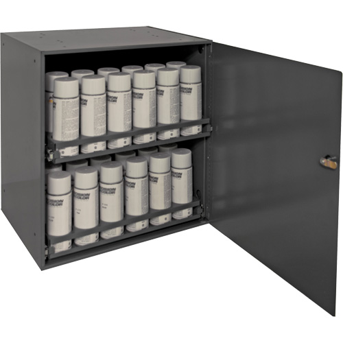 Armoire de rangement pour contenants a&eacute;rosol, Acier, 21-7/8" h x 15-15/16" la x 20-5/16" P, Gris Oxymax Inc