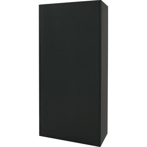 Armoire de rangement combin&eacute;e, 36" la x 18" p x 72" h, Noir Oxymax Inc