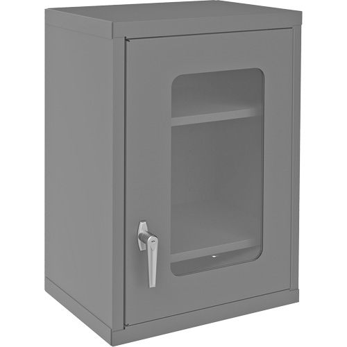 Armoire de rangement murale avec portes transparentes, 26-15/16" h x 18-1/8" la x 13-11/16" p, 2 tablettes, Acier, Gris Oxymax Inc