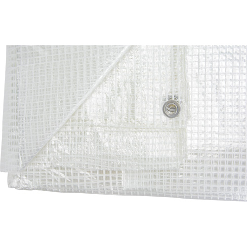 Clear Tarp, 60' x 40' x 8 mils Oxymax Inc