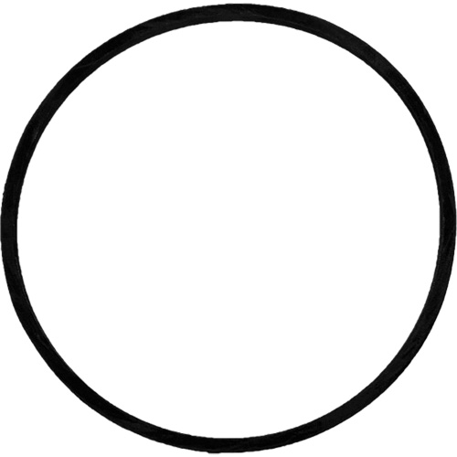 Replacement Brush Drive Belt Oxymax Inc