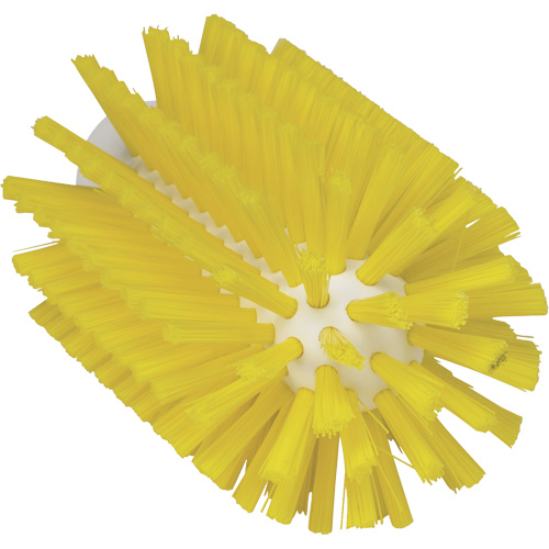 Brosse pour l'hygi&egrave;ne des aliments, Soies Moyen, Longueur de 6", Jaune Oxymax Inc