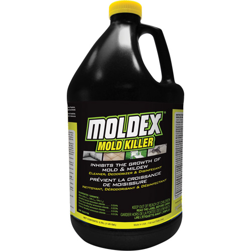 D&eacute;sinfectant contre les moisissures Moldex, 3,78 L, Cruche Oxymax Inc