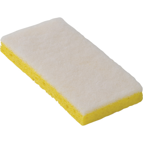 745W Light-Duty Scouring Sponges, 6-1/4" L x 3-1/5" W Oxymax Inc