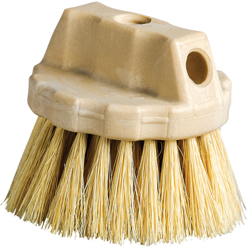 Brosse de nettoyage ronde, 5" l, Soies Tampico, Beige Oxymax Inc