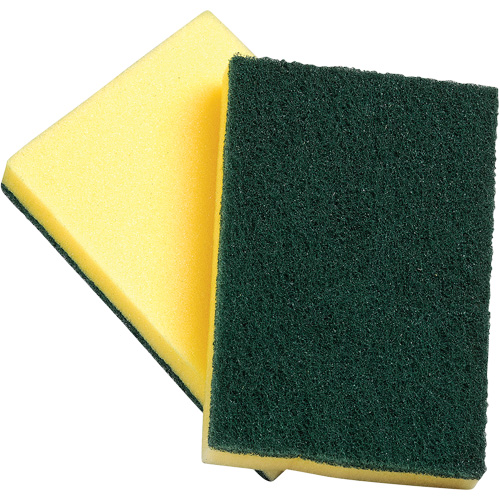 Sponges with Scouring Pad, Scrubbing, 4" W x 6" L Oxymax Inc