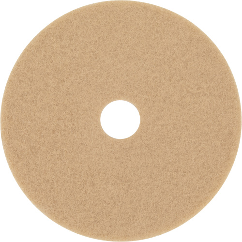 Bande abrasive Trizact Diamond TZ, 20", Brunissage, Beige Oxymax Inc