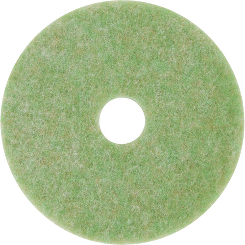 Tampon de m&eacute;lange naturel, 12", &agrave; r&eacute;curer, Vert Oxymax Inc