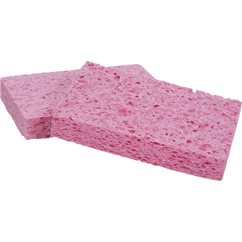 &eacute;ponge Scotch-Brite, Cellulose/Coulis/&agrave; r&eacute;curer, 3-2/3" la x 6" l Oxymax Inc