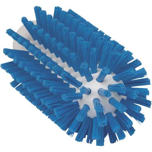 2.5" Brush, Stiff Bristles, 5-3/5" Long, Blue Oxymax Inc