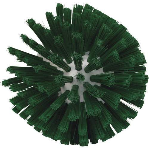Brosse de 5", Soies Moyen, Longueur de 4-1/2", Vert Oxymax Inc
