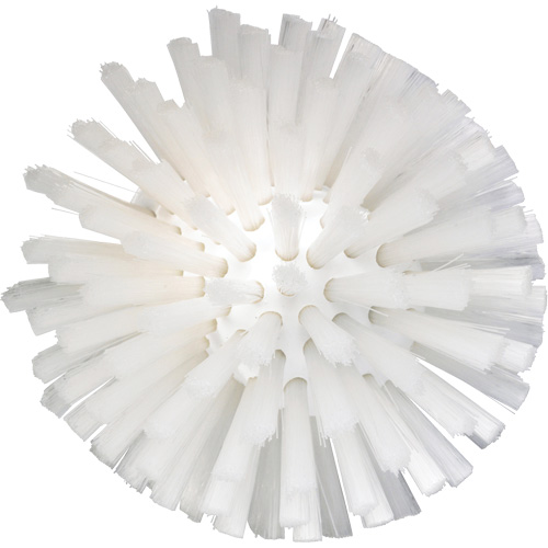 Brosse de 5", Soies Moyen, Longueur de 4-1/2", Blanc Oxymax Inc