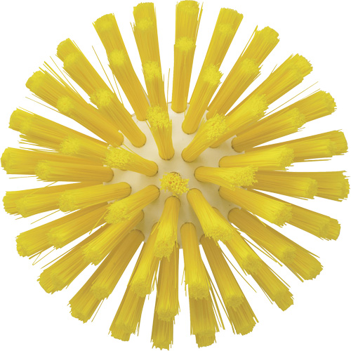 Brosse de 5", Soies Moyen, Longueur de 4-1/2", Jaune Oxymax Inc