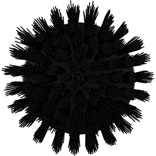 HyDrive Round Drill Brush, Extra Stiff Bristles, 3-1/10" Long, Black Oxymax Inc