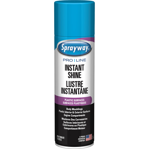 Pro Line Instant Shine for Plastic Surfaces, 11 oz., Aerosol Can Oxymax Inc