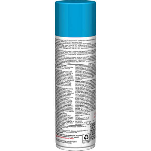 Nettoyant tout usage Pro Line Crazy Clean, 19 oz., Canette a&eacute;rosol Oxymax Inc