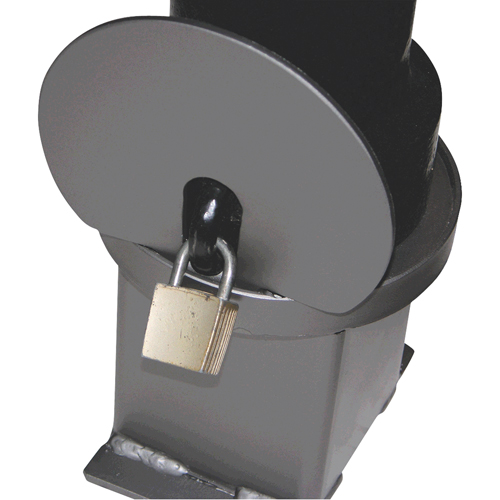 Bornes d&eacute;coratives amovibles, Acier, 40" h x 4-1/2" la, Noir Oxymax Inc