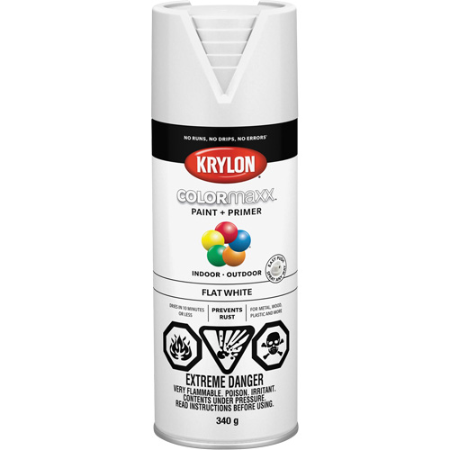 COLORmaxx Paint + Primer, White, Very Flat, 12 oz., Aerosol Can Oxymax Inc
