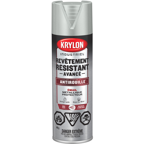 Tough Coat&reg; Advanced Paint with Rust Barrier Technology, Aluminum, Metallic, 425 g, Aerosol Can Oxymax Inc