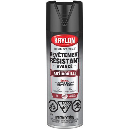 Peinture Tough Coat avec technologie Rust Barrier, Noir, Tr&egrave;s brillant, 425 g, Canette a&eacute;rosol Oxymax Inc