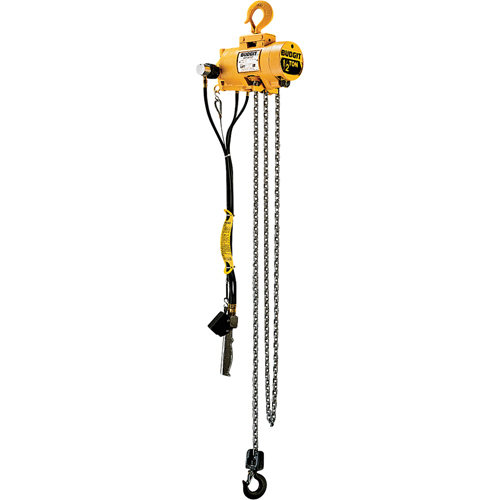 Palans pneumatiques &agrave; chaîne Budgit Oxymax Inc