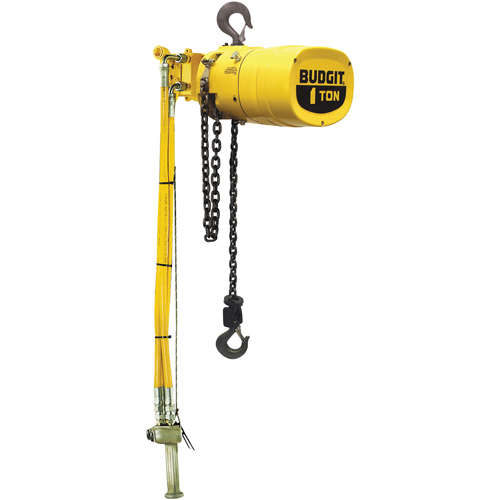 Budgit&reg; Series 6000 Air Hoists Oxymax Inc
