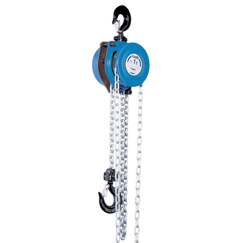 Tralift&reg; Chain Hoist, 10' Lift, 1000 lbs. (0.5 tons) Capacity, Grade 80 Chain Oxymax Inc