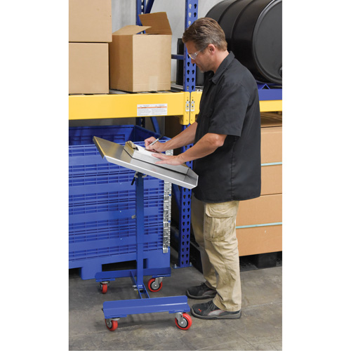 Mobile Tilting Work Table Oxymax Inc