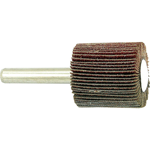 Disque &agrave; lamelles mont&eacute; sur mandrin, Grain 80, 1" x 1" x 1/4" Oxymax Inc
