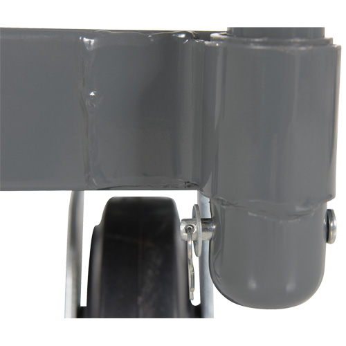 Platform Truck, 48" L x 24" W, 2000 lbs. Capacity, Rubber Casters Oxymax Inc