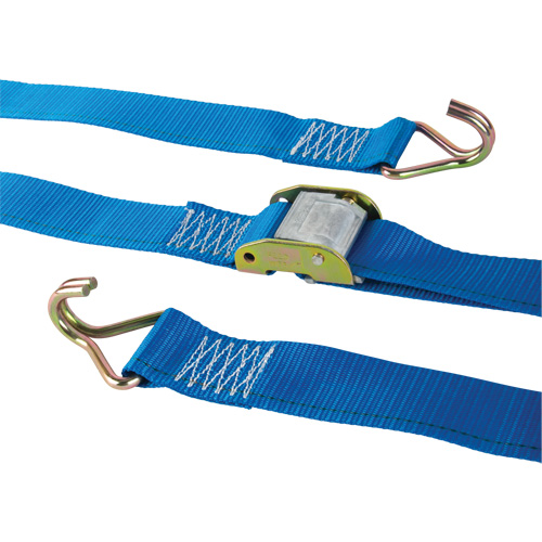 Logistic Strap, Cam Buckle, 2" W x 20' L, 500 lbs. (227 kg) WLL Oxymax Inc