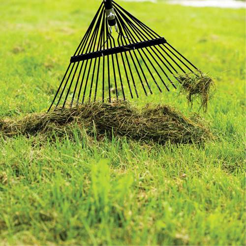 Lawn Rake, 24 Tines, Hardwood Handle, Steel Blade Oxymax Inc