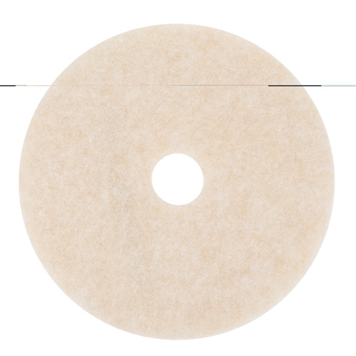 TopLine Speed Floor Pad, 19", Burnishing, Beige Oxymax Inc
