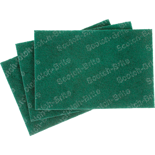 Tampons manuels Scotch-Brite, 9" lo x 6" la Oxymax Inc