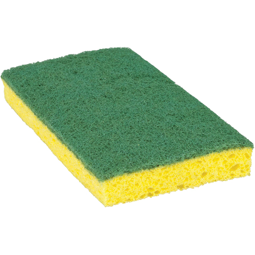 &eacute;ponge &agrave; r&eacute;curer pour travaux moyens Scotch-Brite, &agrave; r&eacute;curer, 3-3/5" la x 6-1/10" l Oxymax Inc