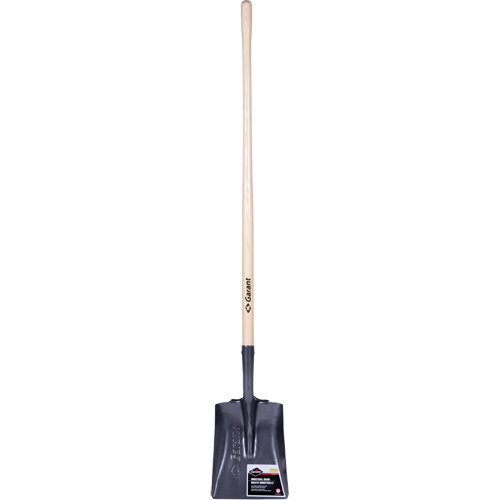 Pro Square Point Shovel, Wood, Tempered Steel Blade, Straight Handle, 48" Long Oxymax Inc